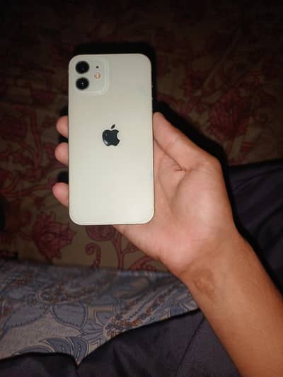 iPhone 12