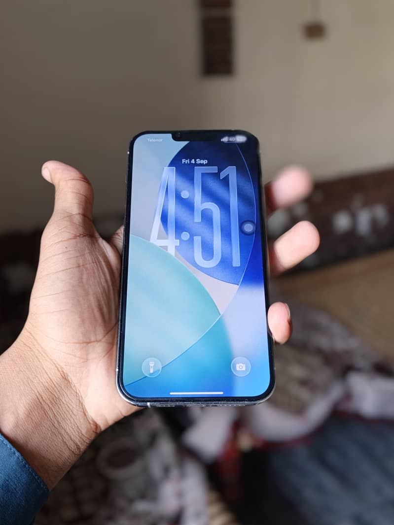 Apple iPhone 13 Pro Max 1