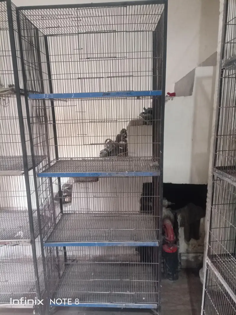 cages 1.5 by 2.5 and 1.5 by 3 — photo 3