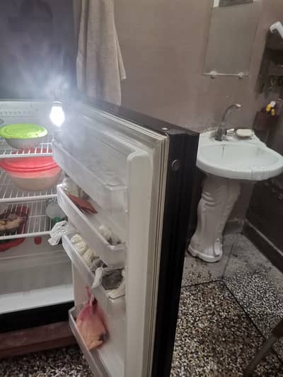 pel inventor double door
