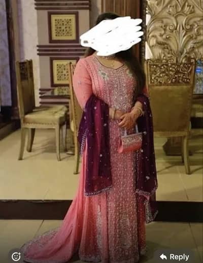 Ethnic collectoin