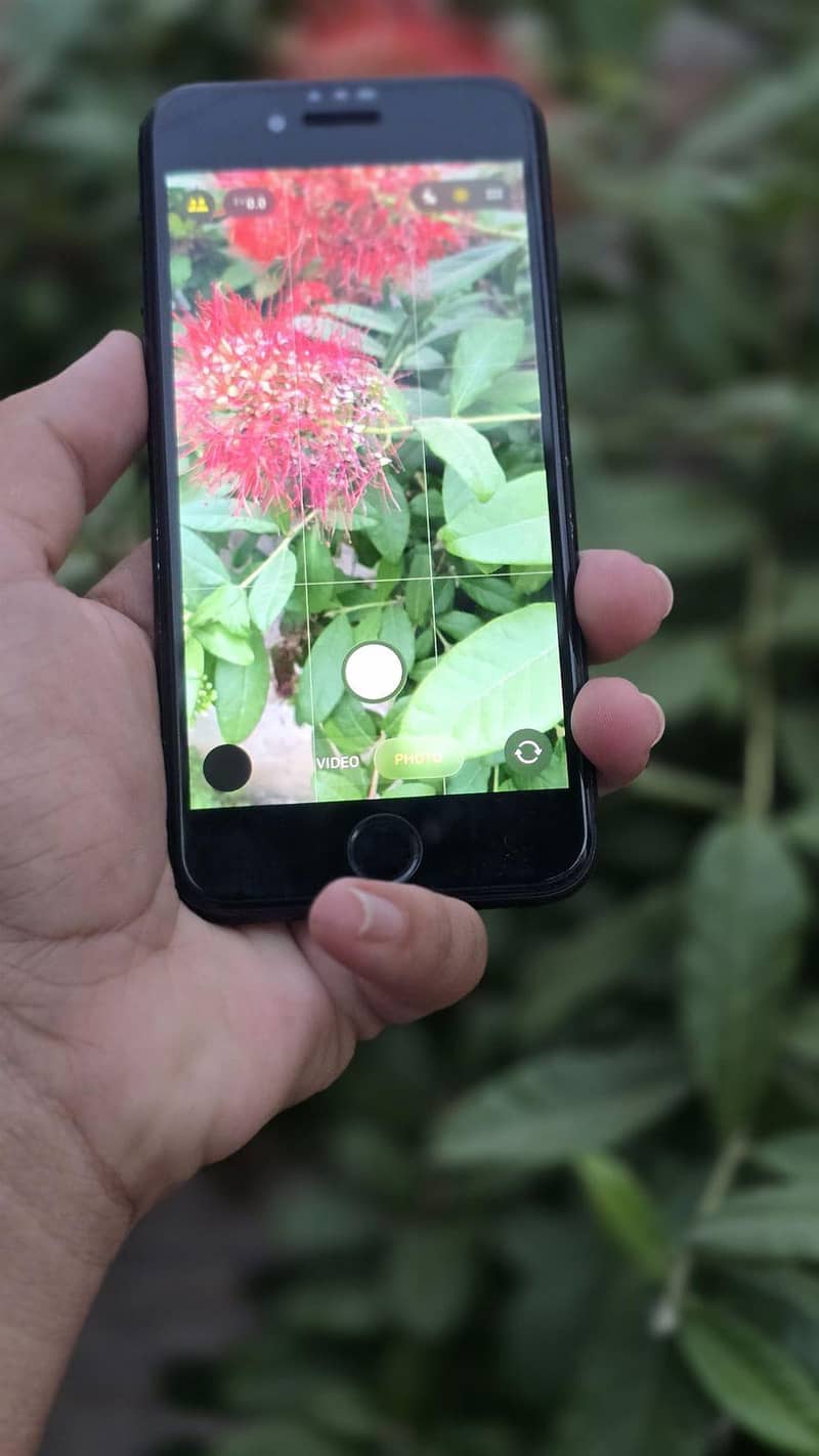 Apple iPhone SE 6