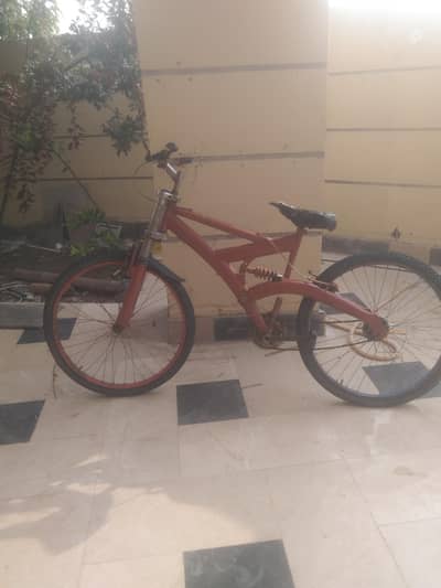 shokh wali hai