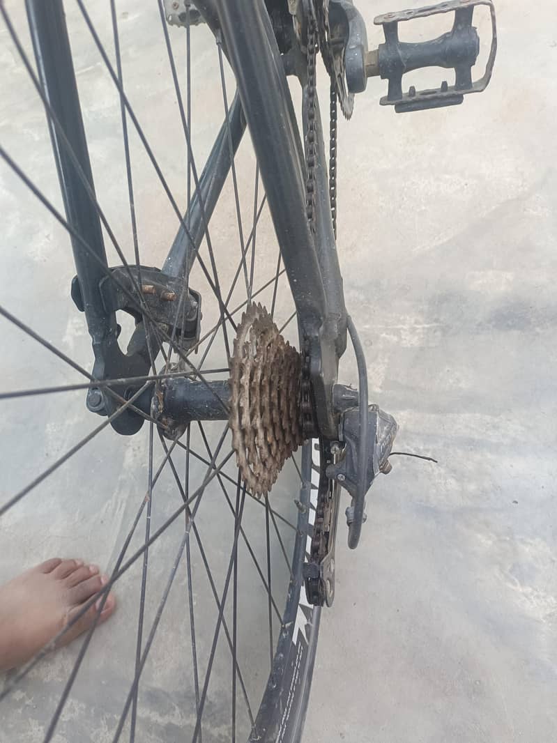 Sumtal Bicycle 7
