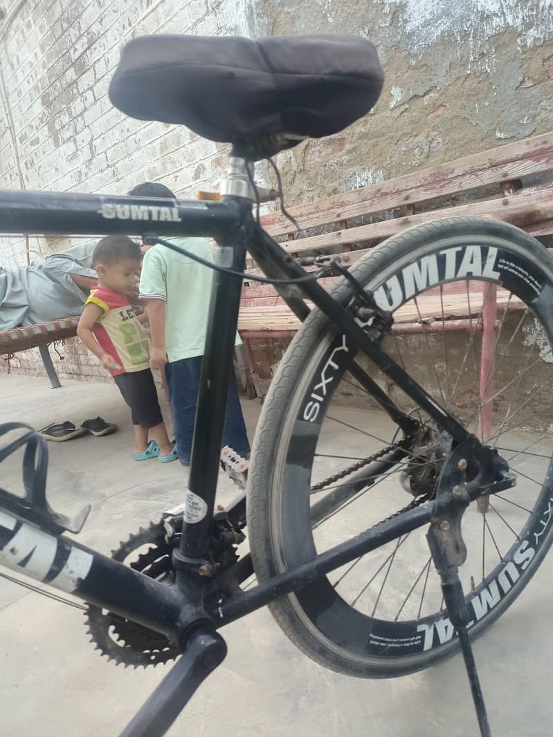Sumtal Bicycle 13