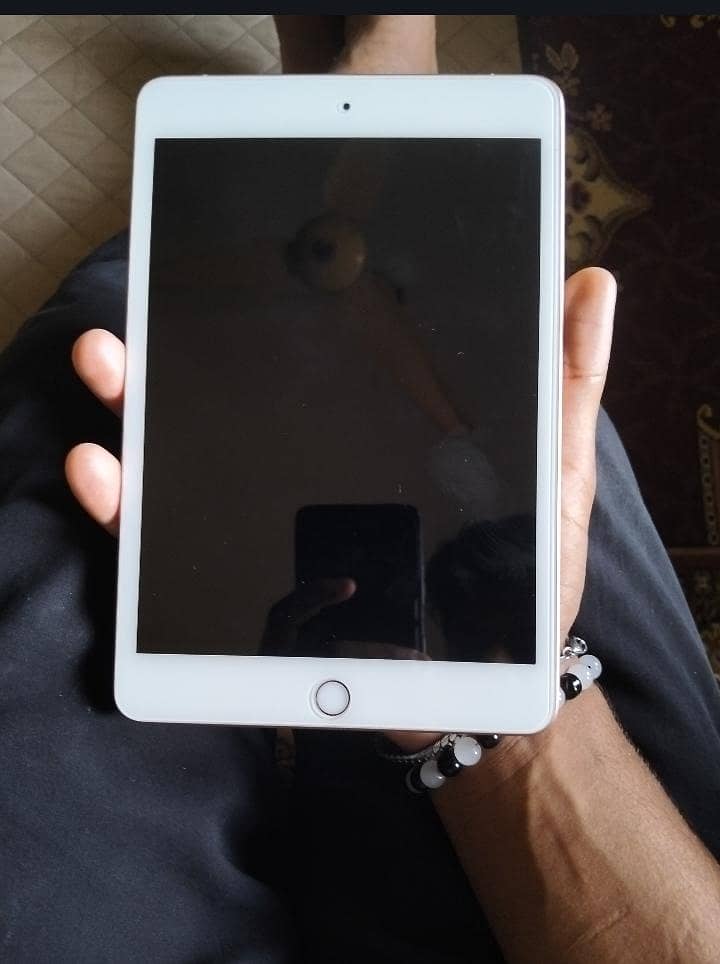 i pade mini 5 0