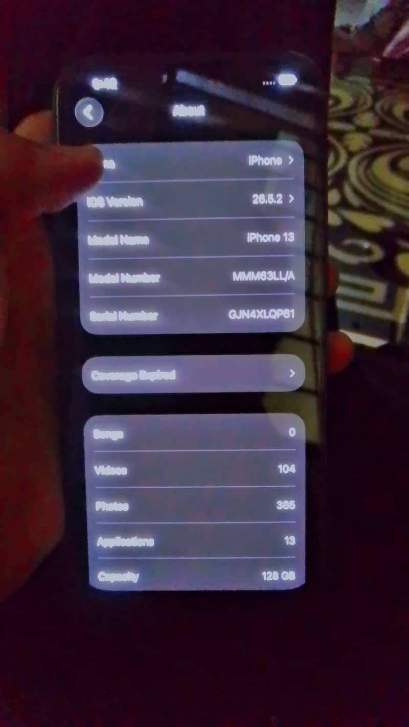 Apple iPhone 13 0