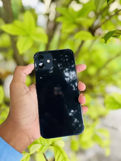 Apple iPhone 12 64GB 86battery water pack