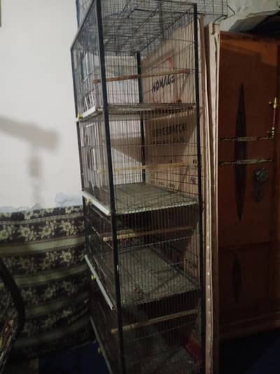 cage 4 porsahn
