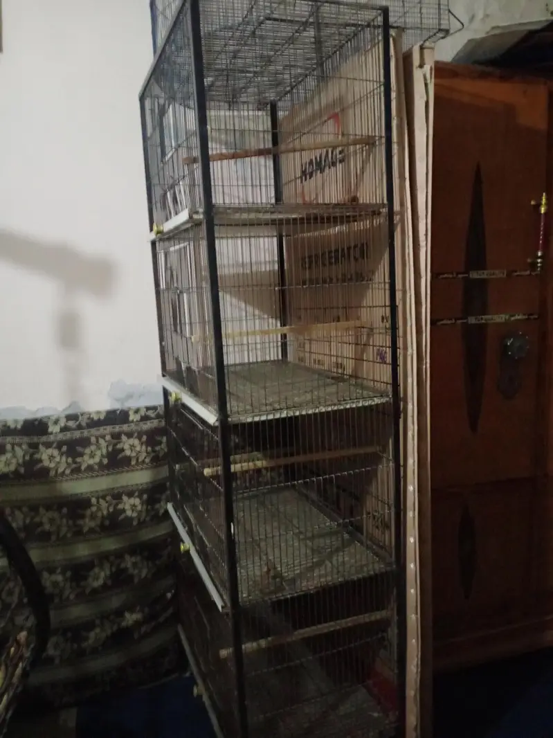 cage 4 porsahn