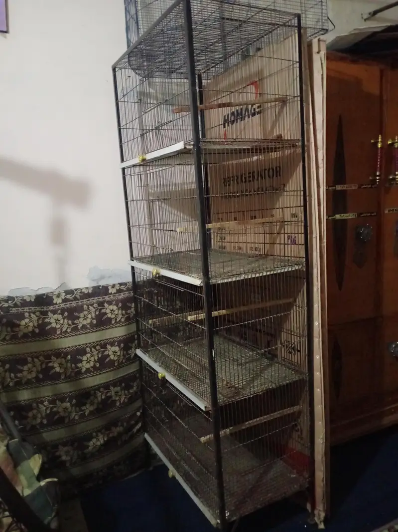cage 4 porsahn — photo 2