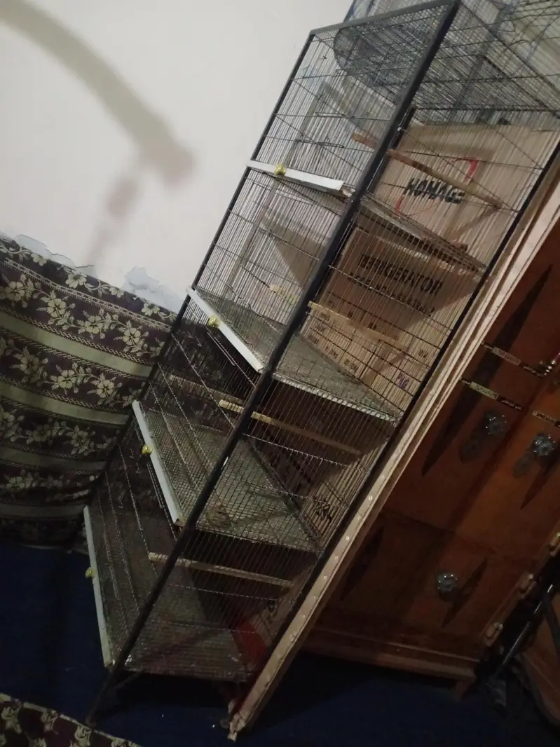cage 4 porsahn — photo 3