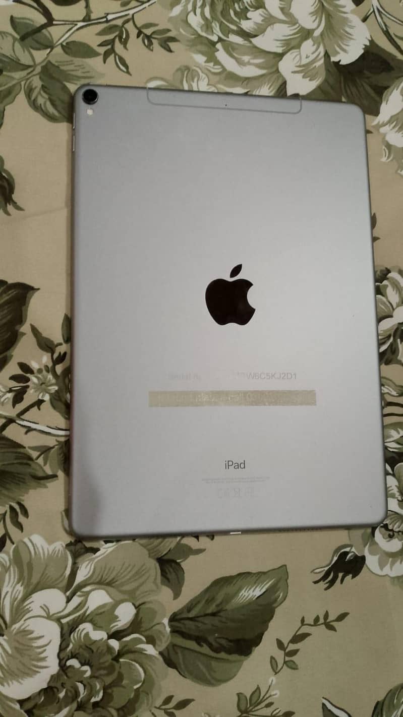 ipad pro 10.9 (2017) 2