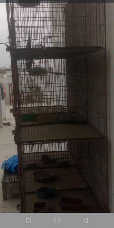 Iran cage