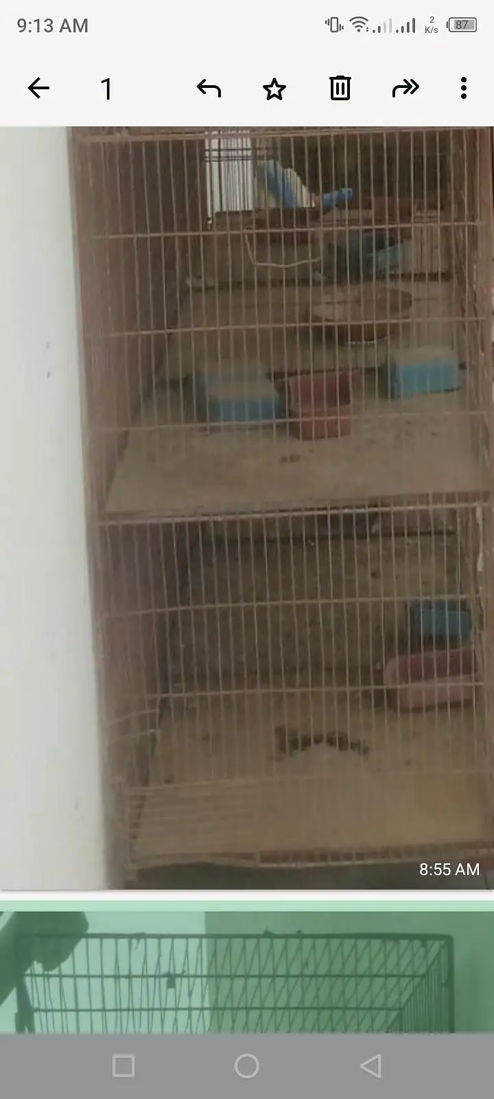 Iran cage — photo 2