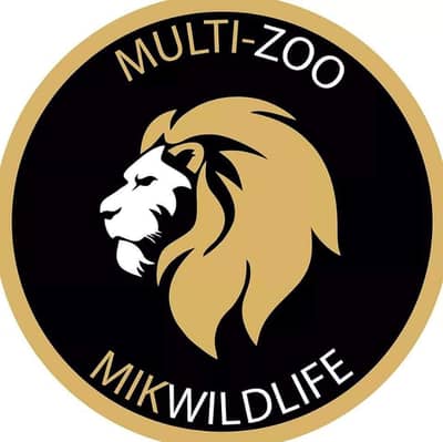 Multi G Block 30x60 Amazing Plot For Sale