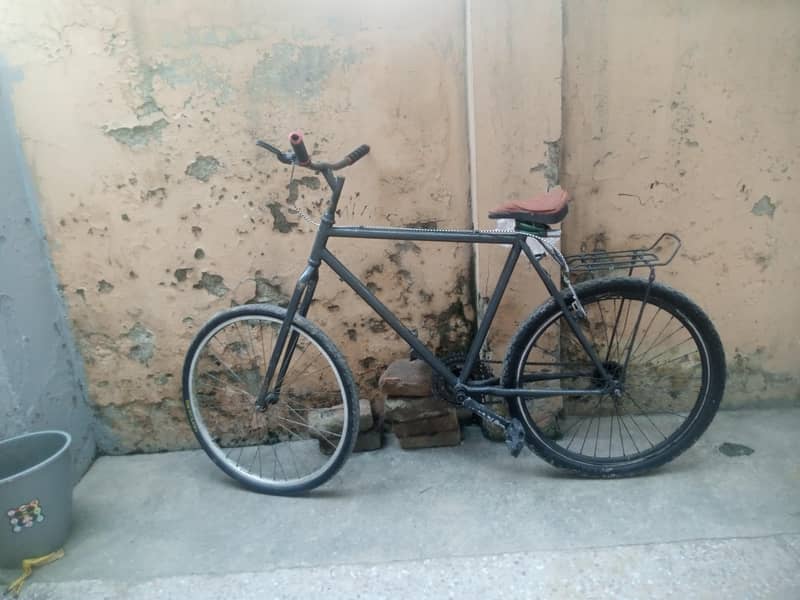 phonix cycle 1