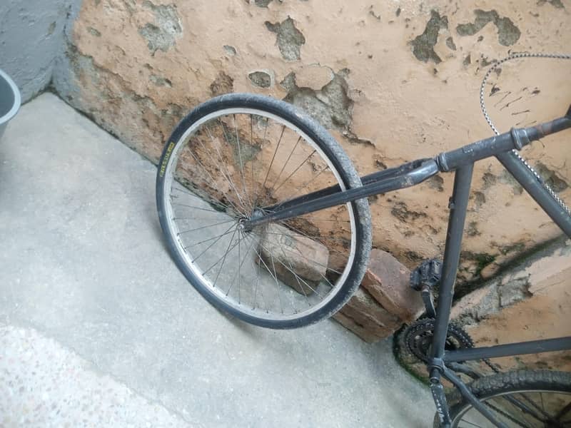 phonix cycle 2
