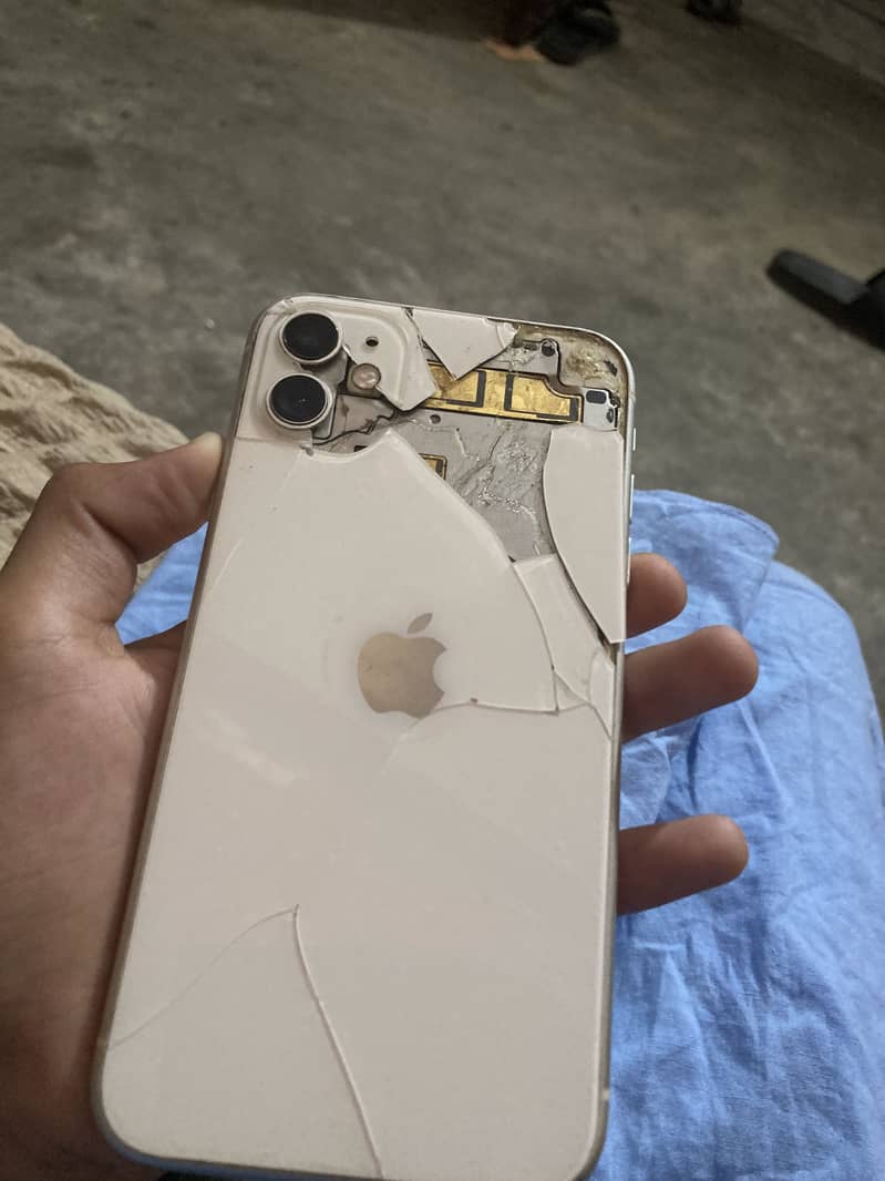Apple iPhone 11 0