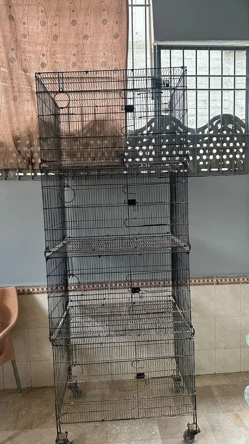 pinjra / cage for sale