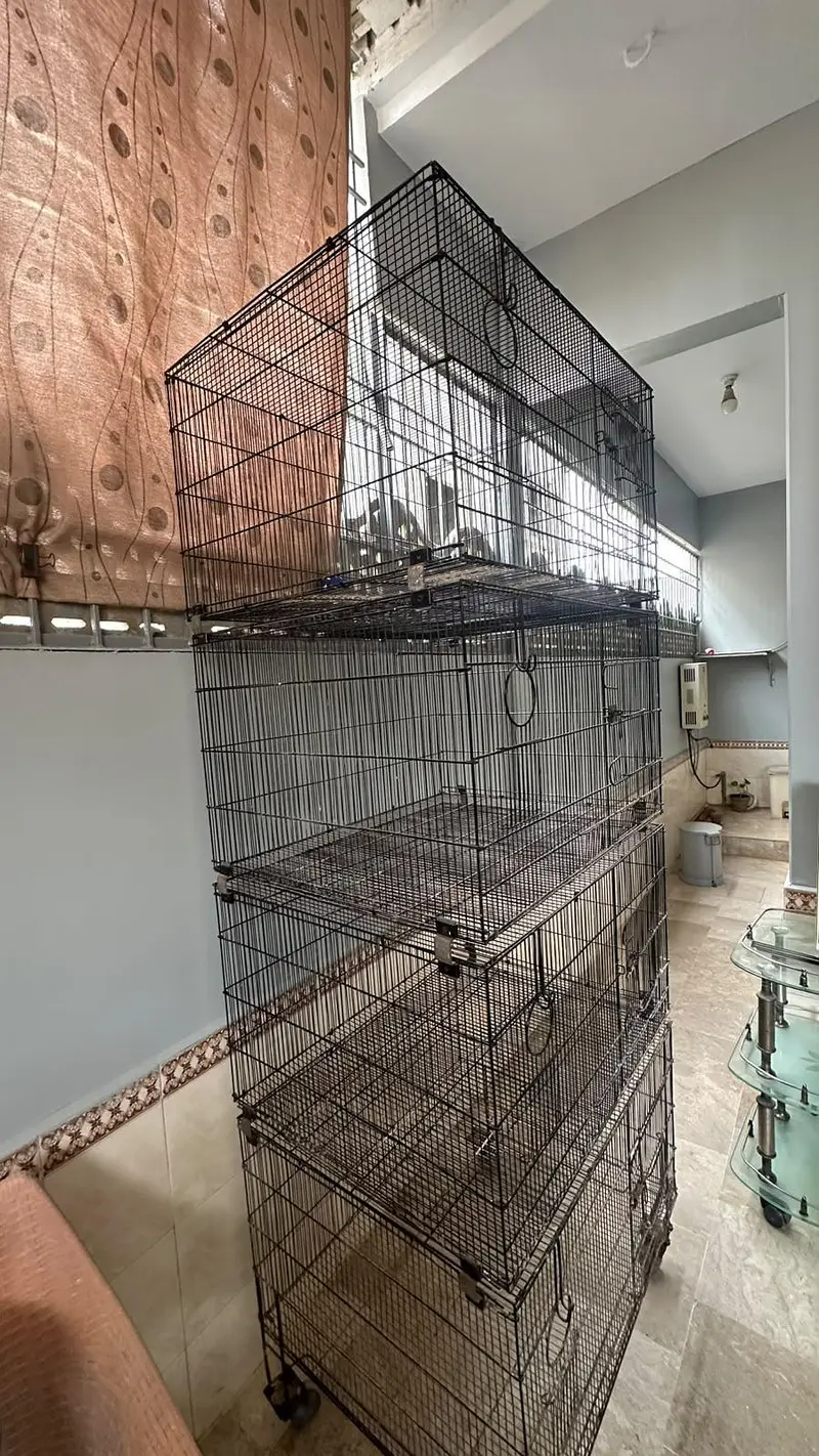 pinjra / cage for sale — photo 2