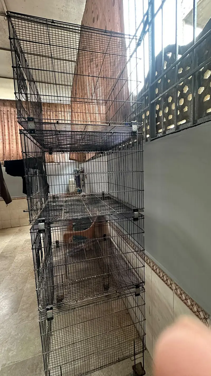 pinjra / cage for sale — photo 3