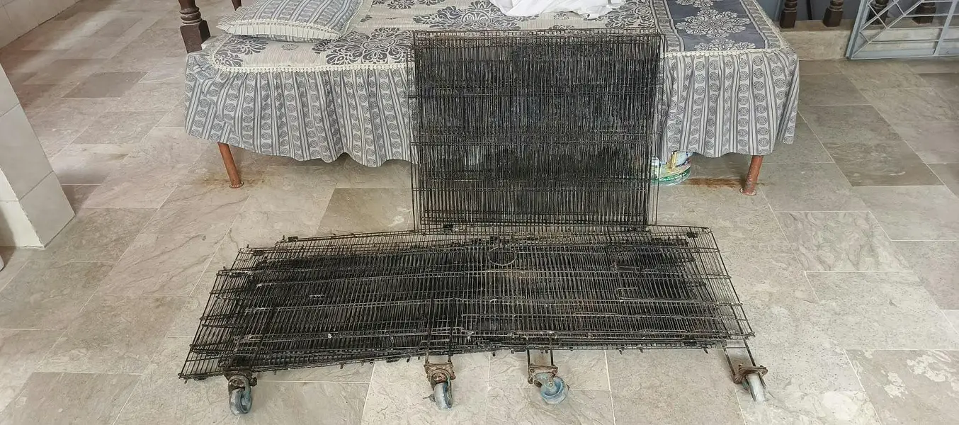 pinjra / cage for sale — photo 4