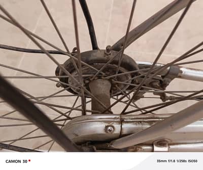 Japanese cycle