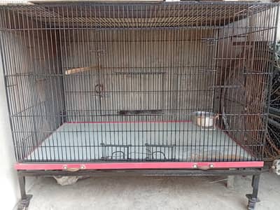 parrot cage (length 4 feet  width 3feet  height 3.5 feet
