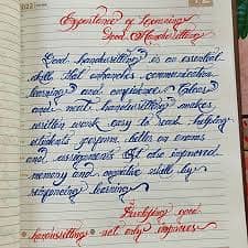 Content writer 1