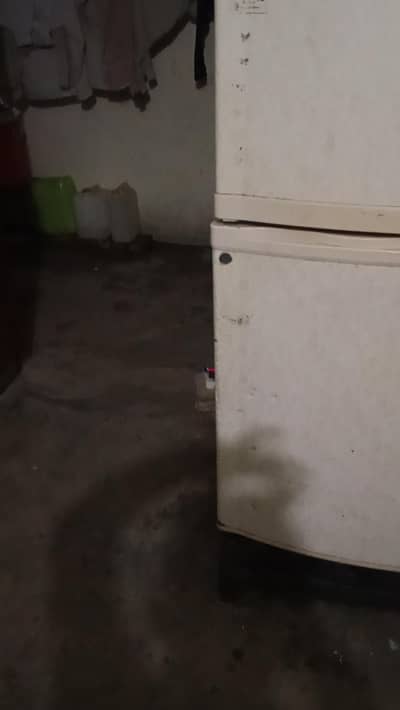 fraje