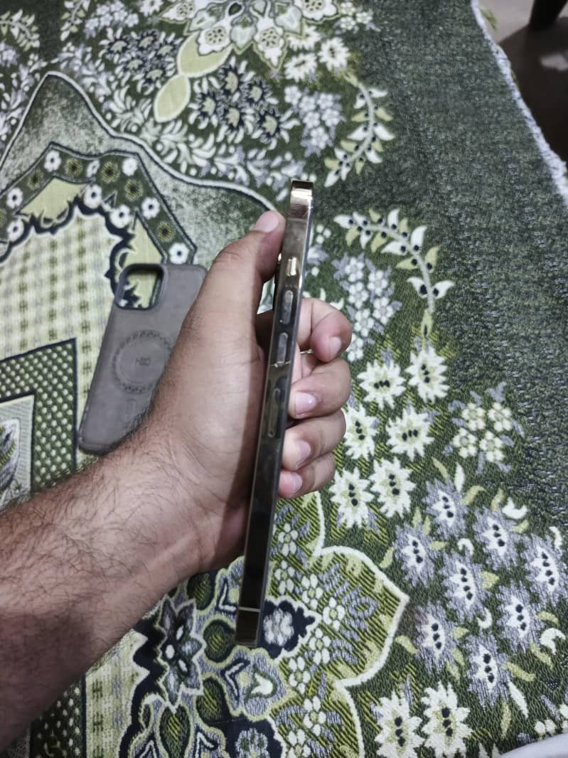 Apple iPhone 13 Pro Max 3