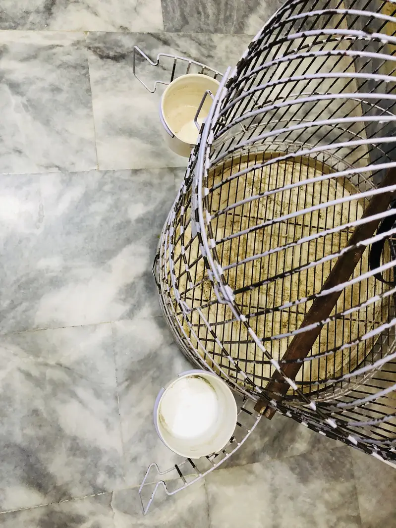 Cage for sale — photo 3