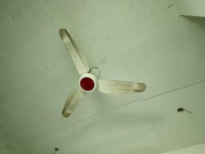 Fan for sale