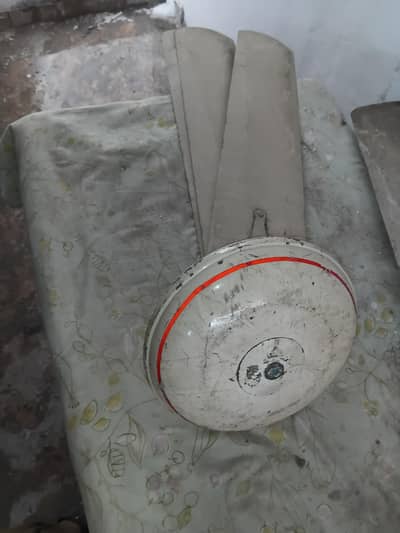 Ceiling Fan for Sale