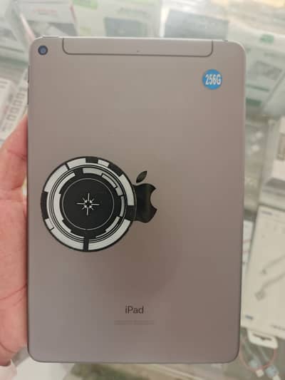 I paid mini 5 256gb available