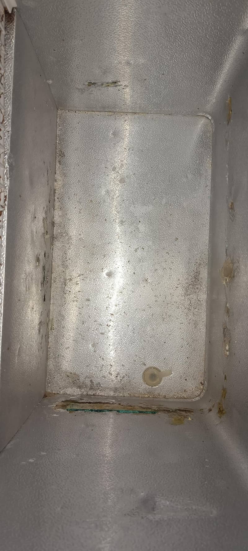 WAVES 5