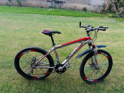 Dolphin River Bicycle