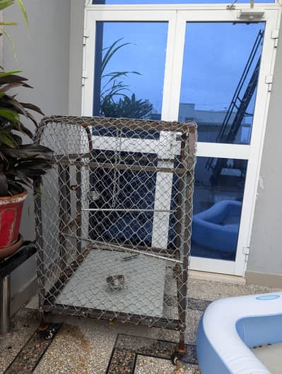 Pinjra for birds & parrots