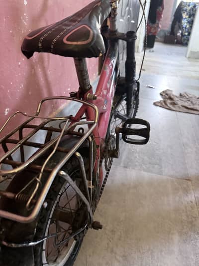 Kids cycle