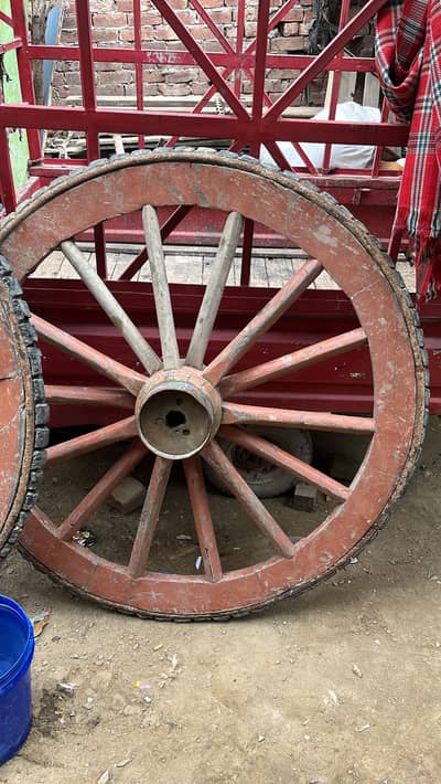 Tanga tyre / tanga chakka / tanga wheel