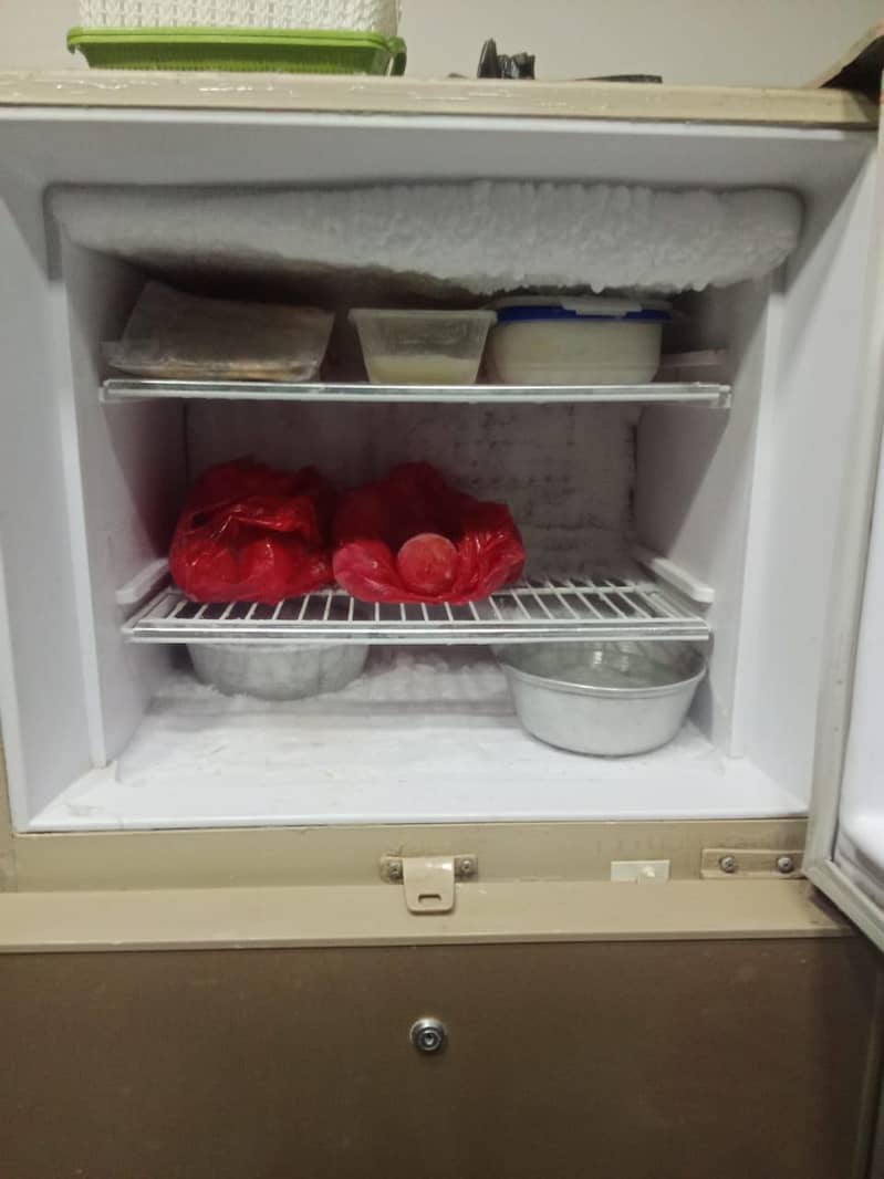 waves medium size Refrigerator 2