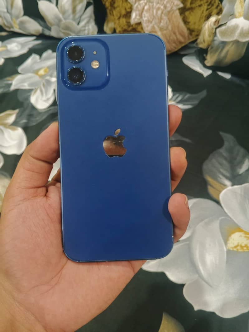 Apple iPhone 12 1