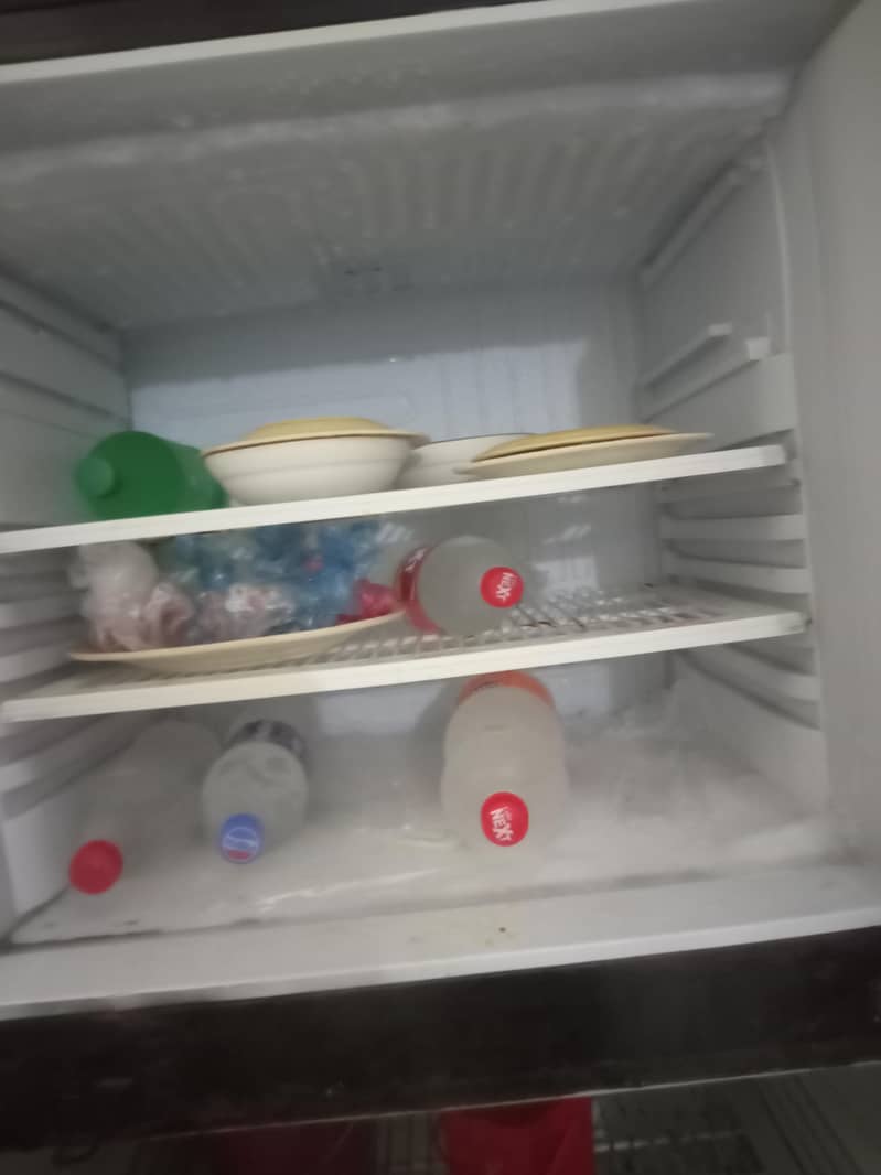 fridge 2