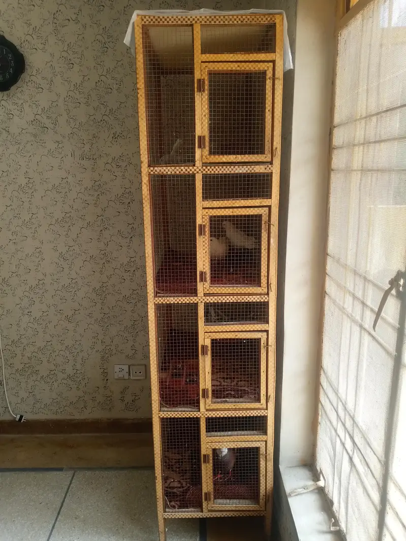 cage for sale Tali wood