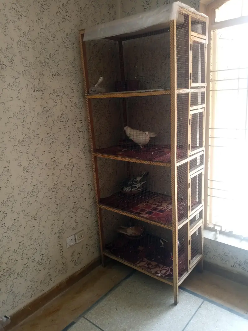 cage for sale Tali wood — photo 2