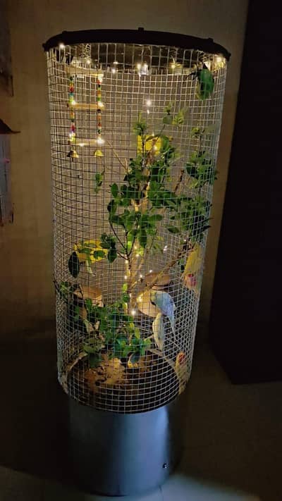BEAUTIFUL DECORATIVE BIRD CAGE WITH LIGHTS