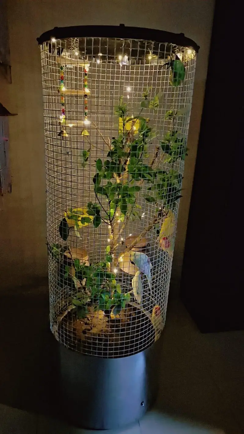 BEAUTIFUL DECORATIVE BIRD CAGE WITH LIGHTS