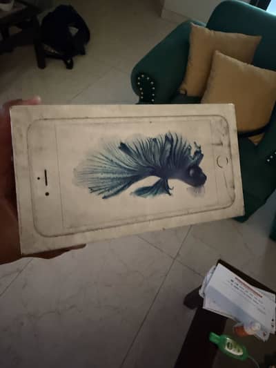 Iphone 6s and 6s plus boxes