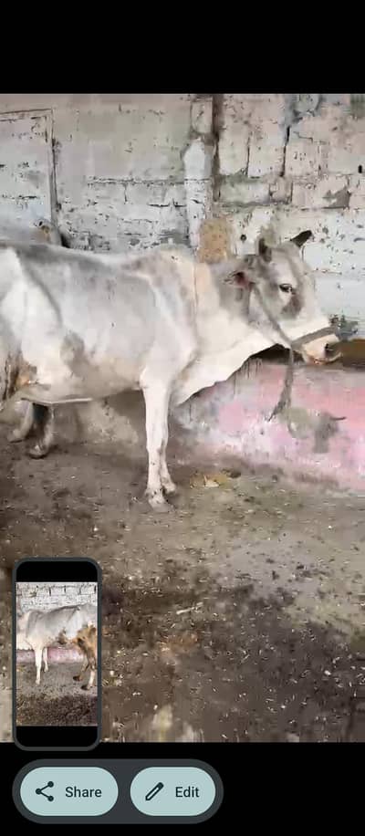 2 janwaar